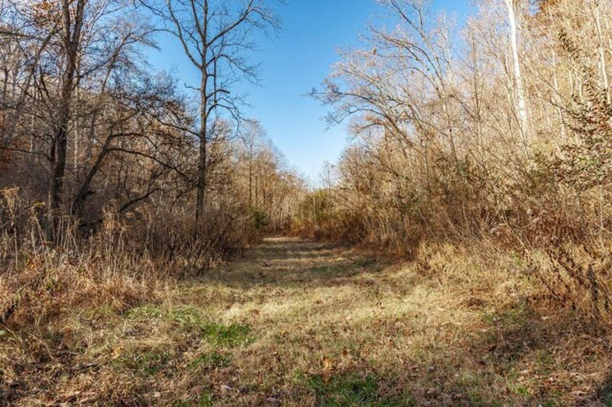 Picture of Residential Land For Sale in Goodlettsville, Tennessee, United States