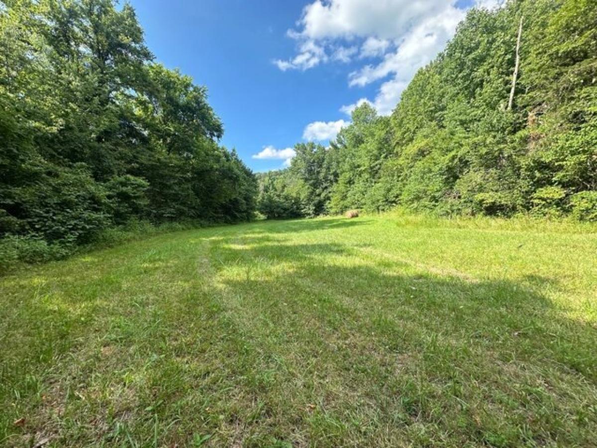 Picture of Residential Land For Sale in Burkesville, Kentucky, United States