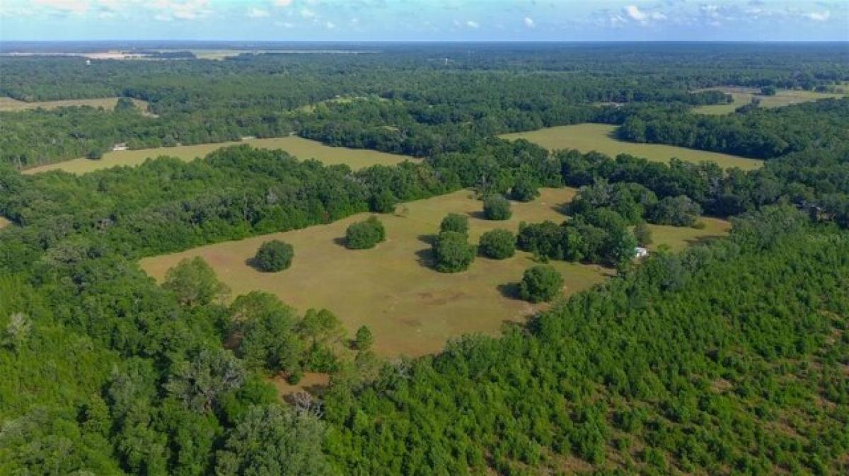 Picture of Residential Land For Sale in Archer, Florida, United States