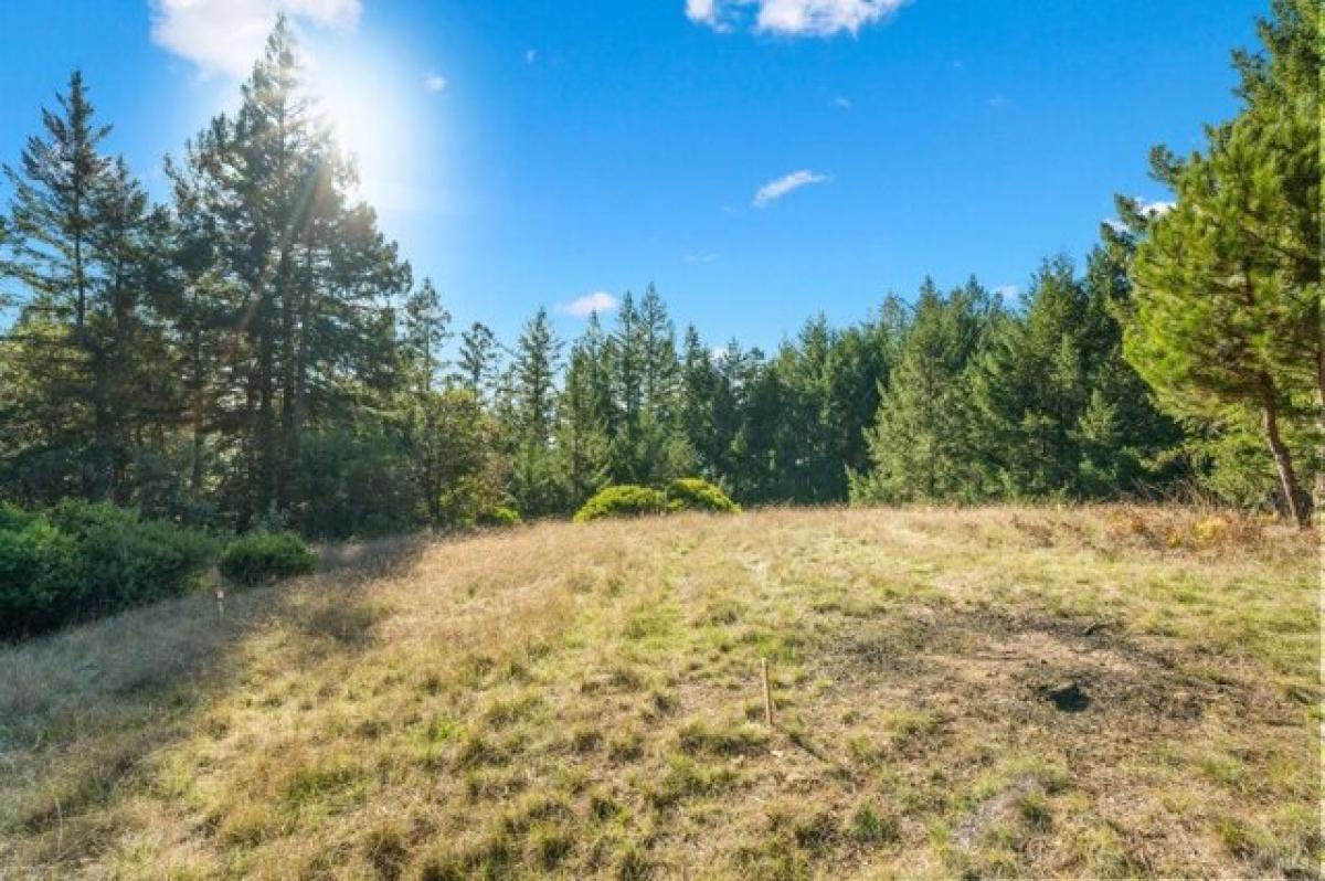 Picture of Residential Land For Sale in Philo, California, United States