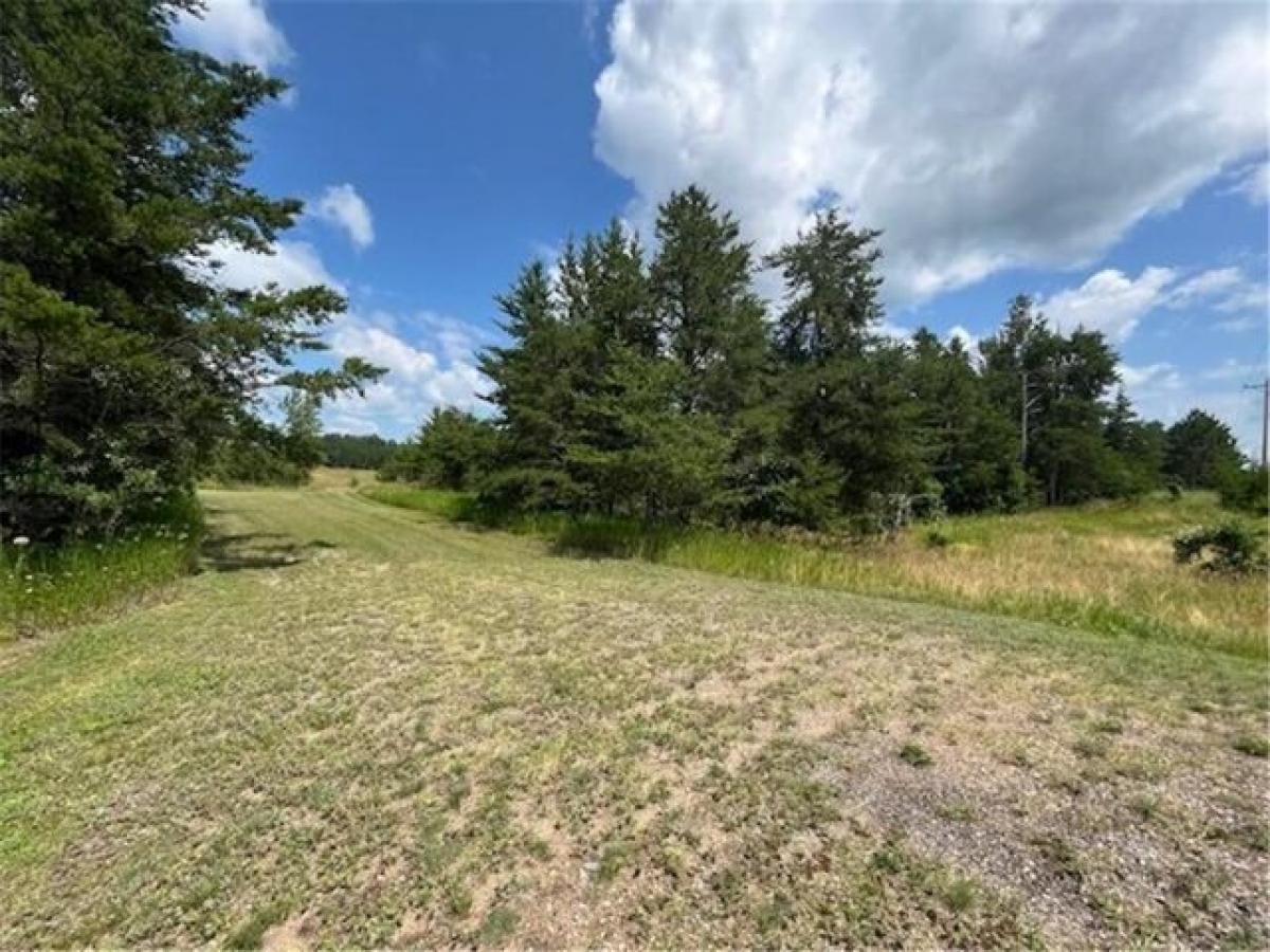 Picture of Residential Land For Sale in Pillager, Minnesota, United States