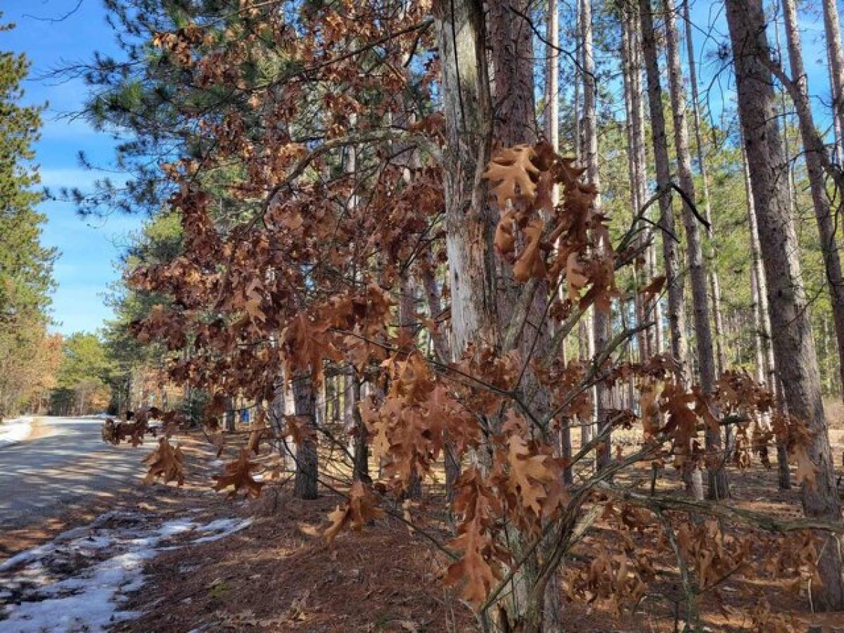 Picture of Residential Land For Sale in New Lisbon, Wisconsin, United States