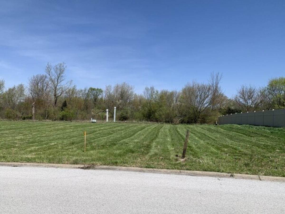 Picture of Residential Land For Sale in Lynwood, Illinois, United States