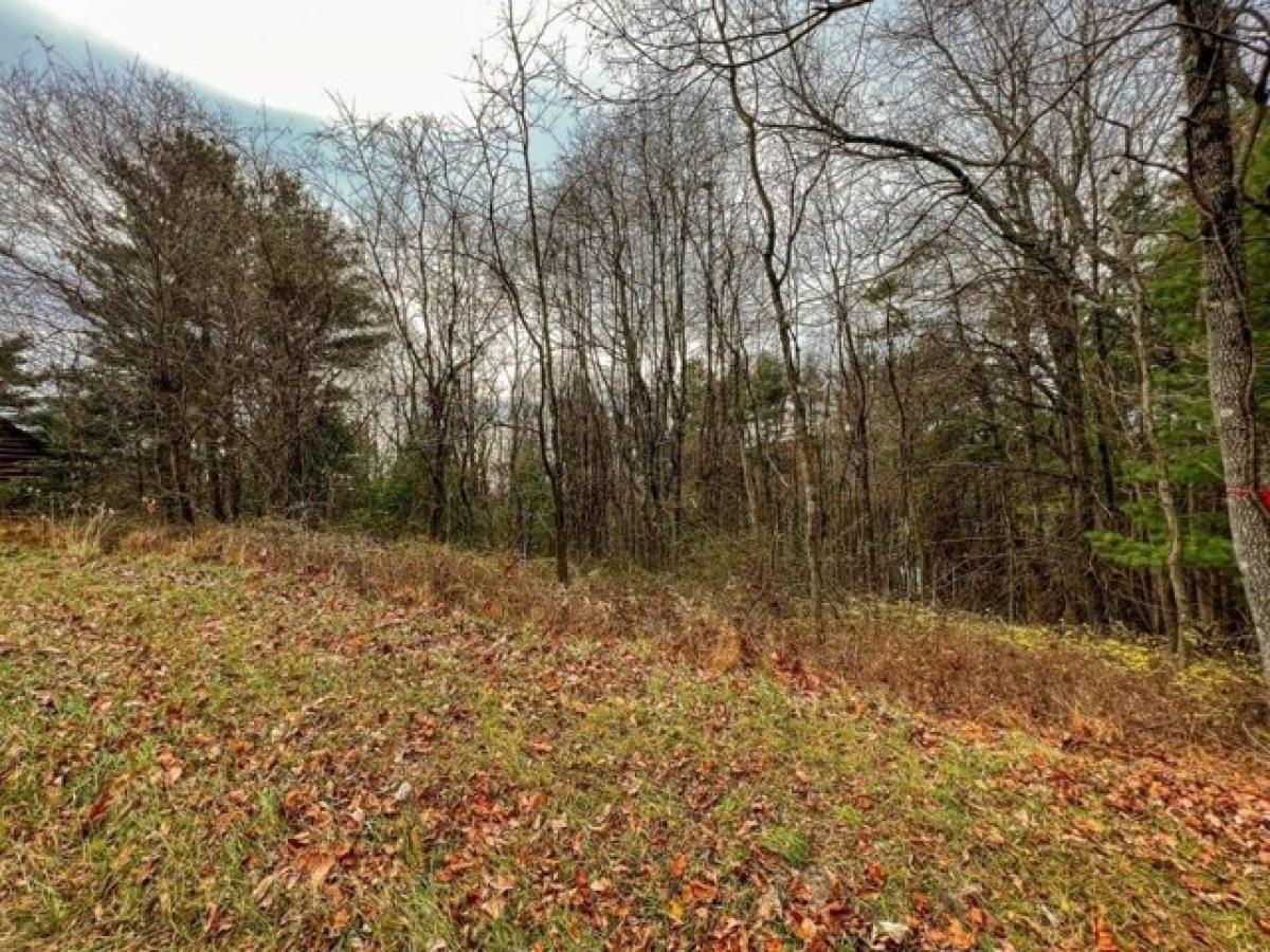 Picture of Residential Land For Rent in Fancy Gap, Virginia, United States