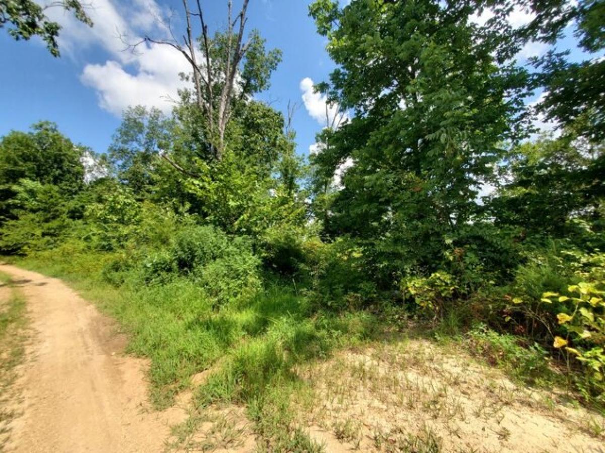 Picture of Residential Land For Sale in Lobelville, Tennessee, United States