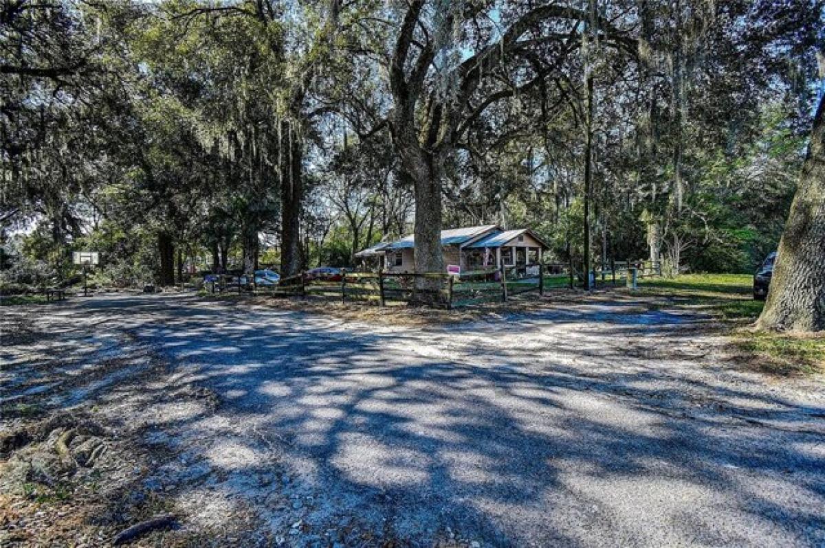 Picture of Residential Land For Sale in Zephyrhills, Florida, United States