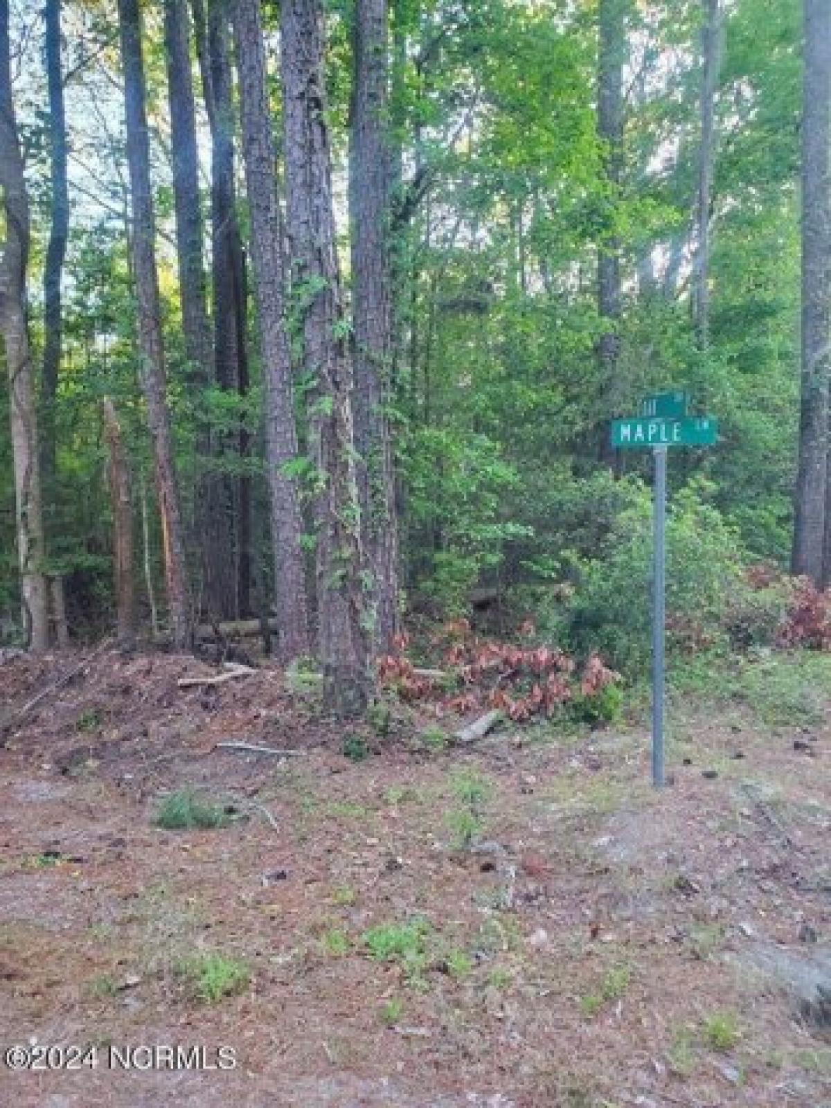 Picture of Residential Land For Sale in Blounts Creek, North Carolina, United States