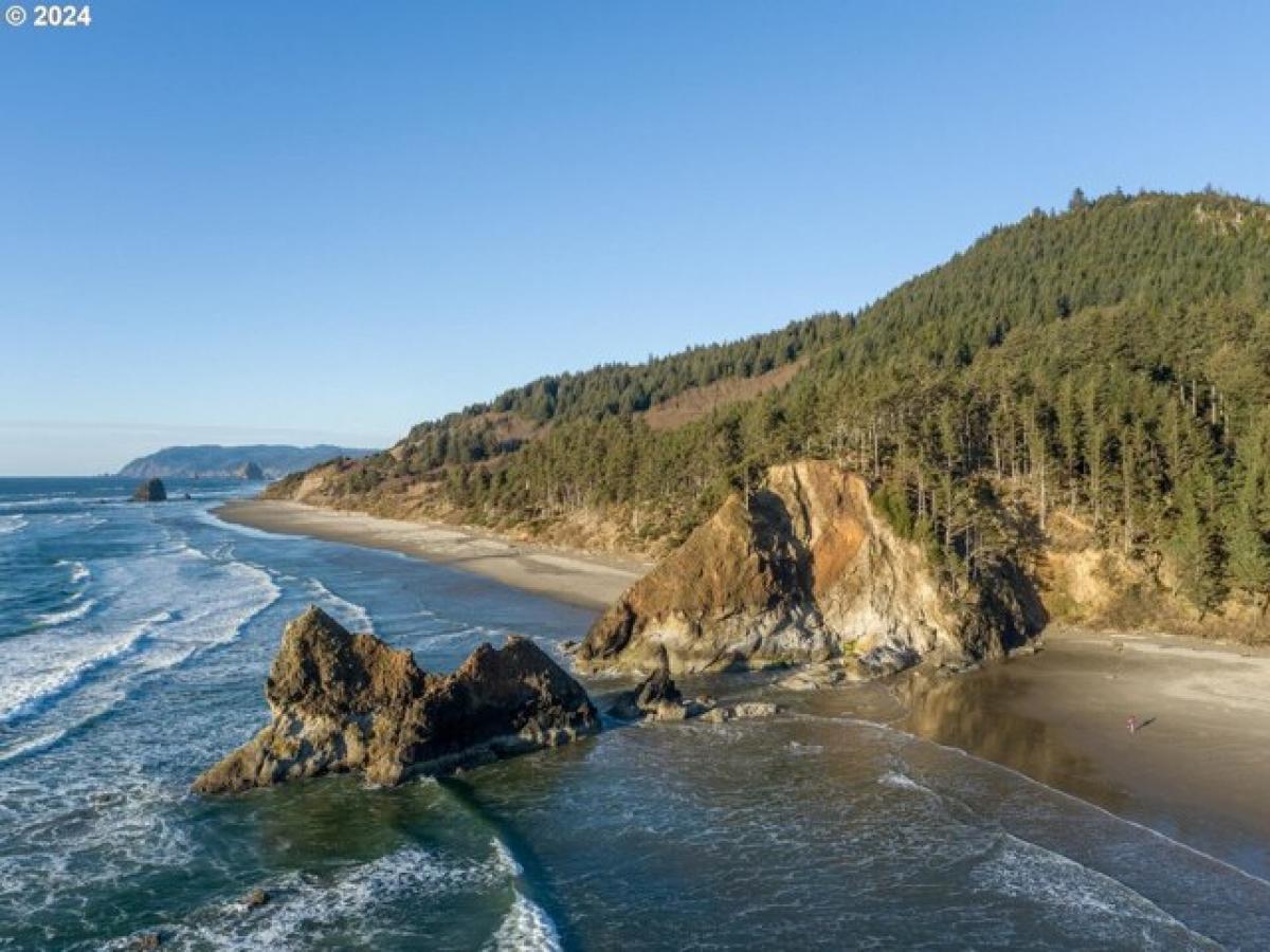 Picture of Home For Sale in Cannon Beach, Oregon, United States