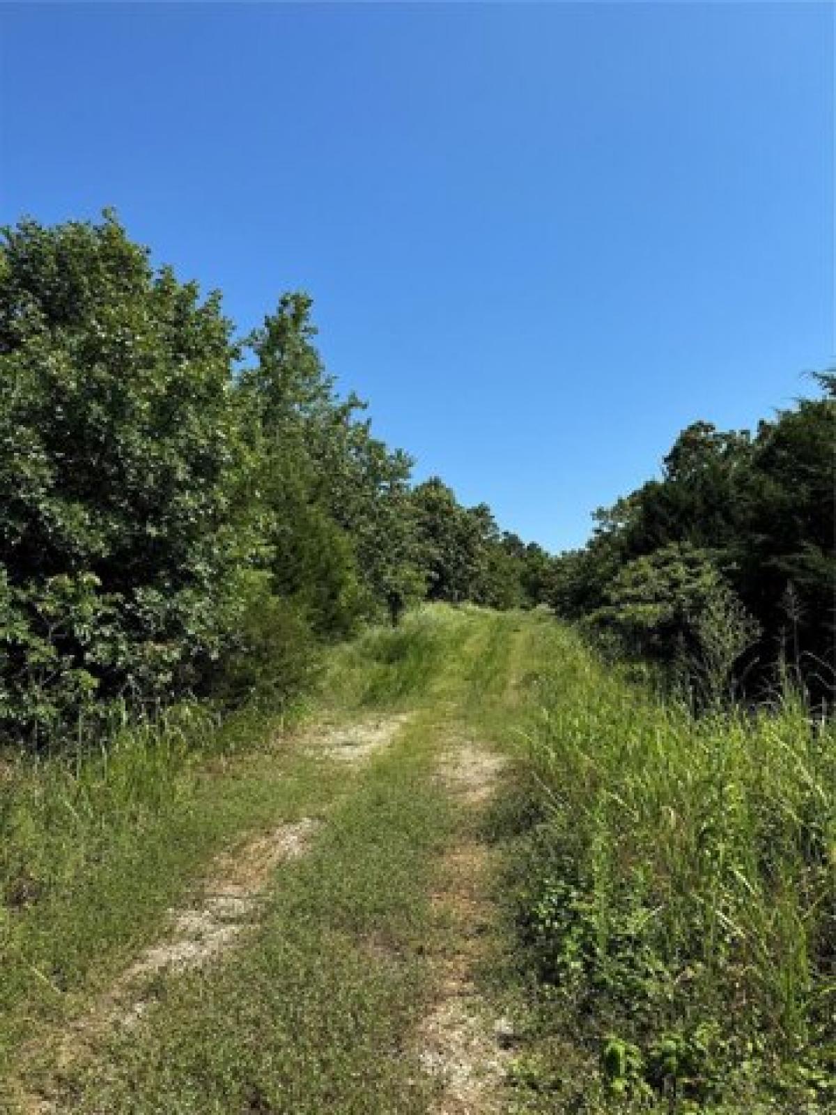 Picture of Residential Land For Sale in Jennings, Oklahoma, United States