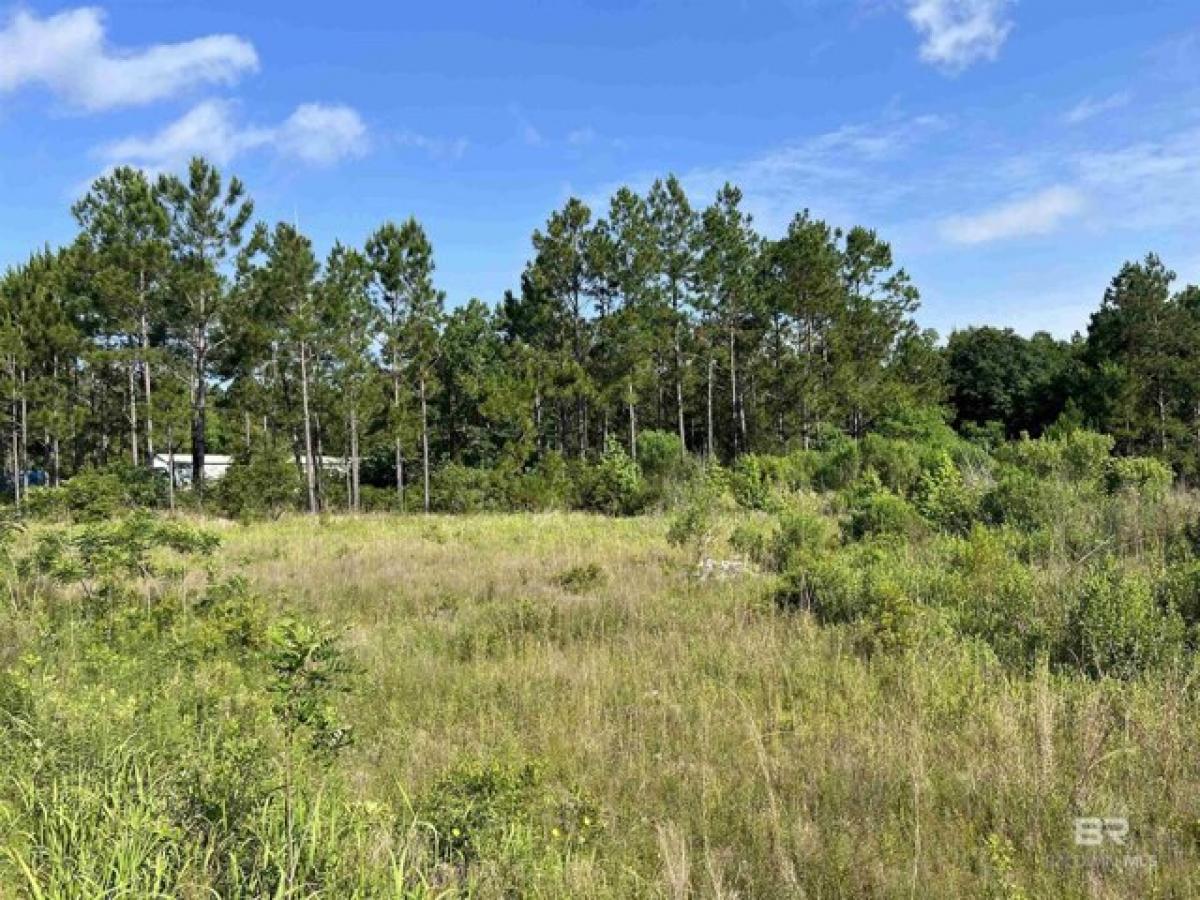 Picture of Residential Land For Sale in Gulf Shores, Alabama, United States