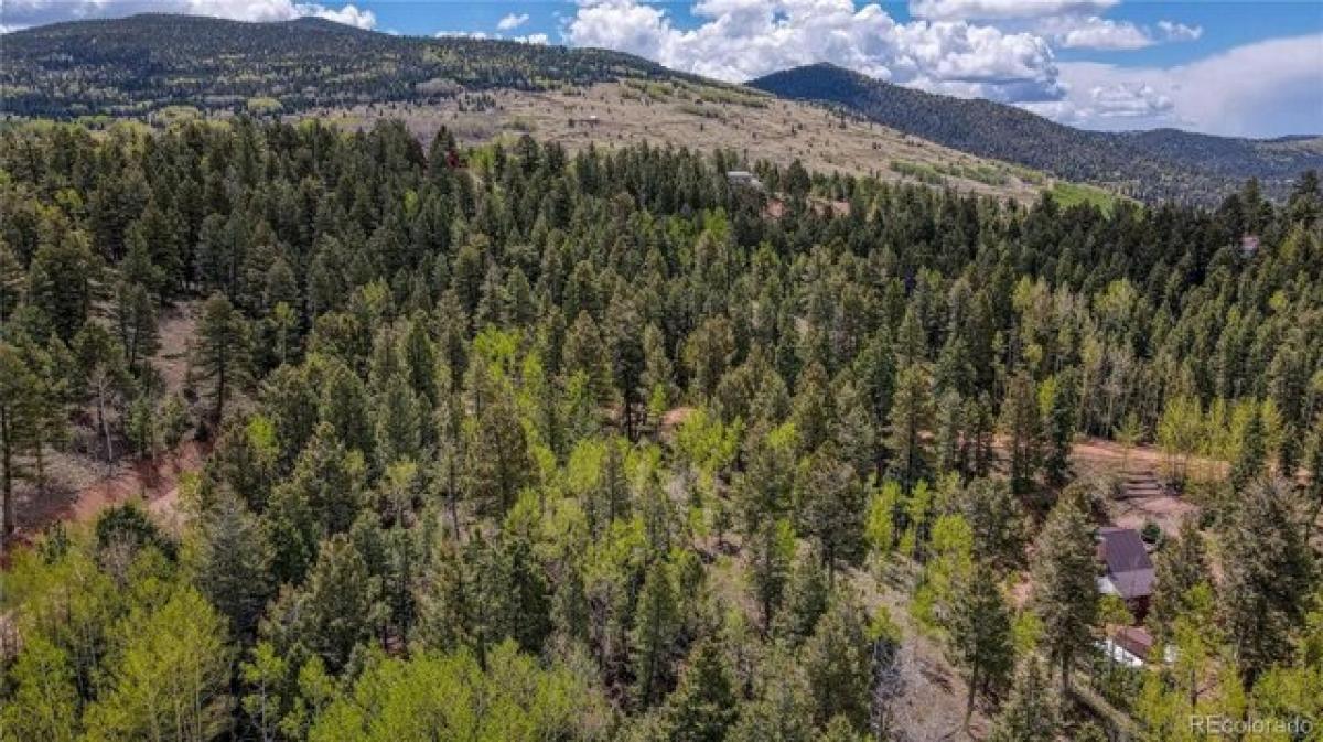 Picture of Residential Land For Sale in Cripple Creek, Colorado, United States