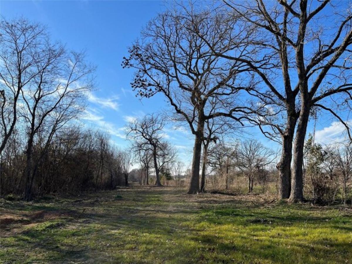 Picture of Residential Land For Sale in Pickton, Texas, United States