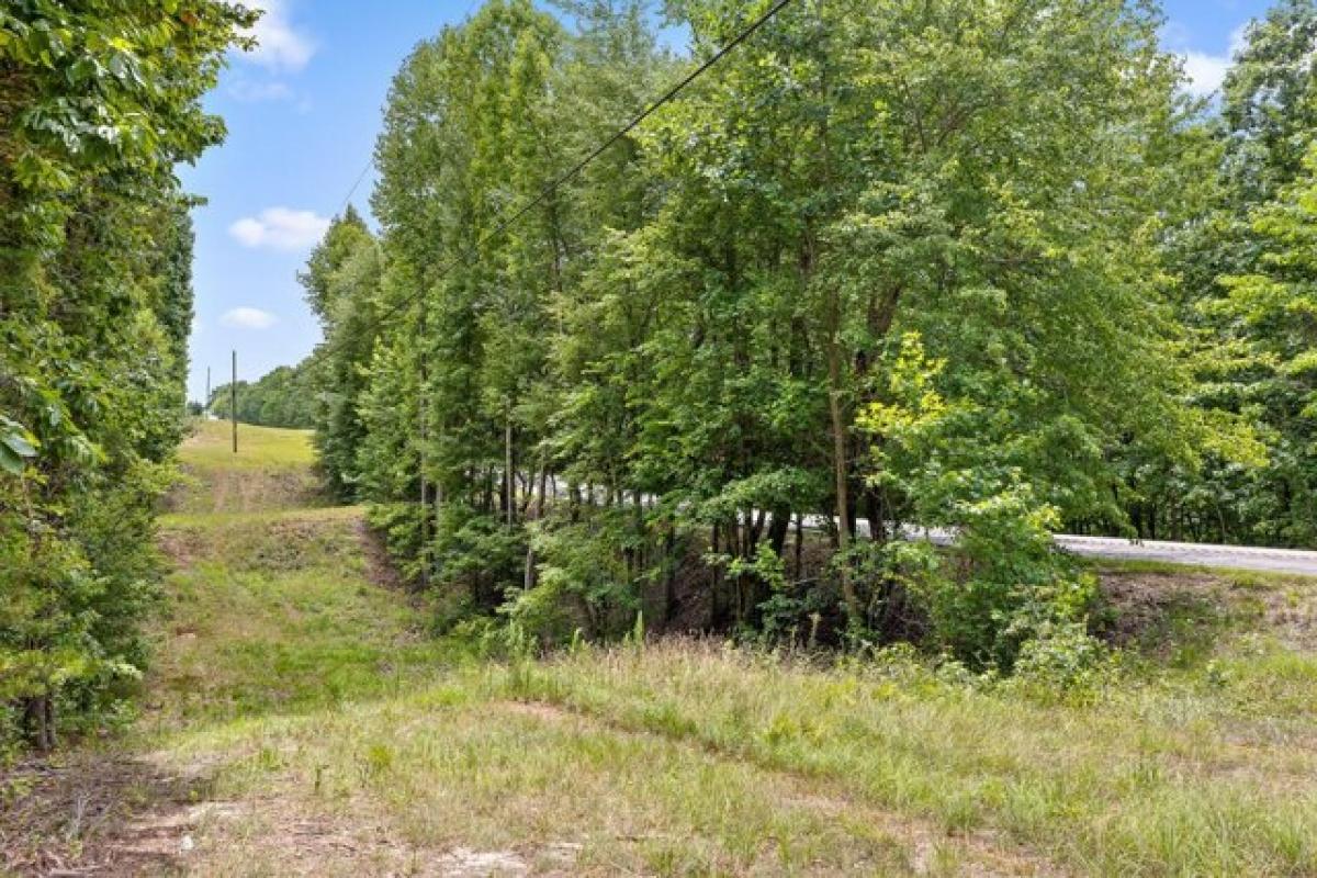 Picture of Residential Land For Sale in Menlo, Georgia, United States