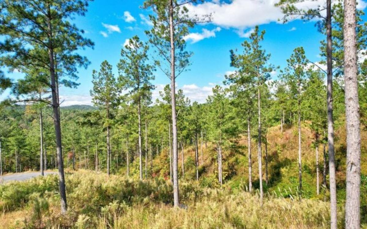 Picture of Residential Land For Sale in Talking Rock, Georgia, United States