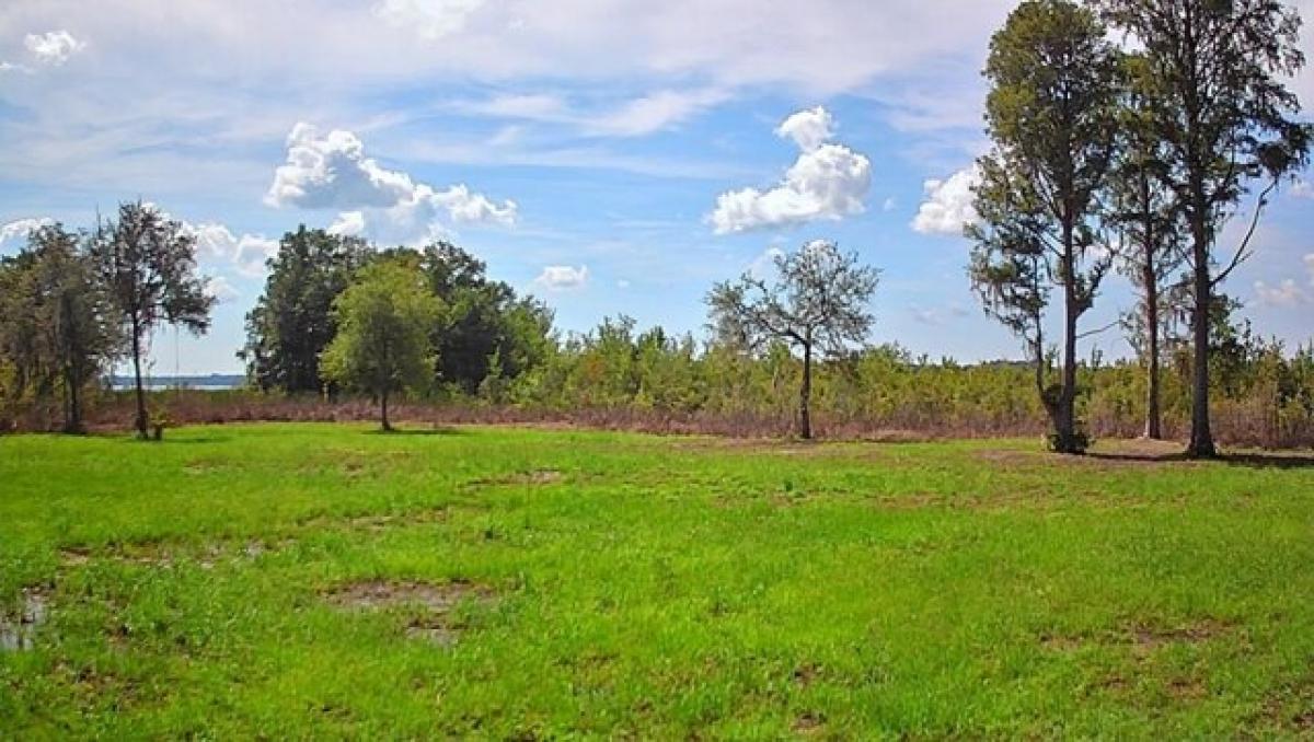 Picture of Residential Land For Sale in Inglis, Florida, United States