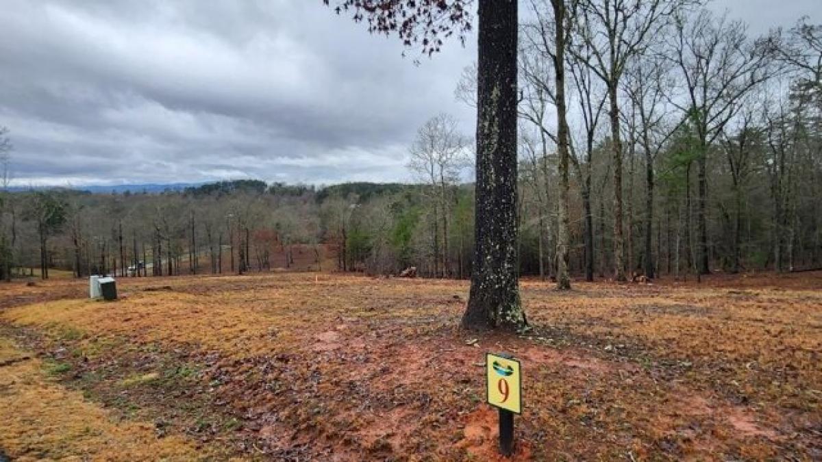 Picture of Residential Land For Sale in Mineral Bluff, Georgia, United States