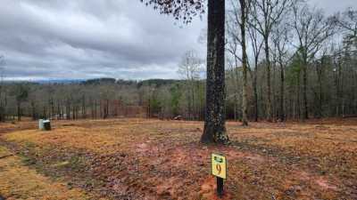 Residential Land For Sale in Mineral Bluff, Georgia