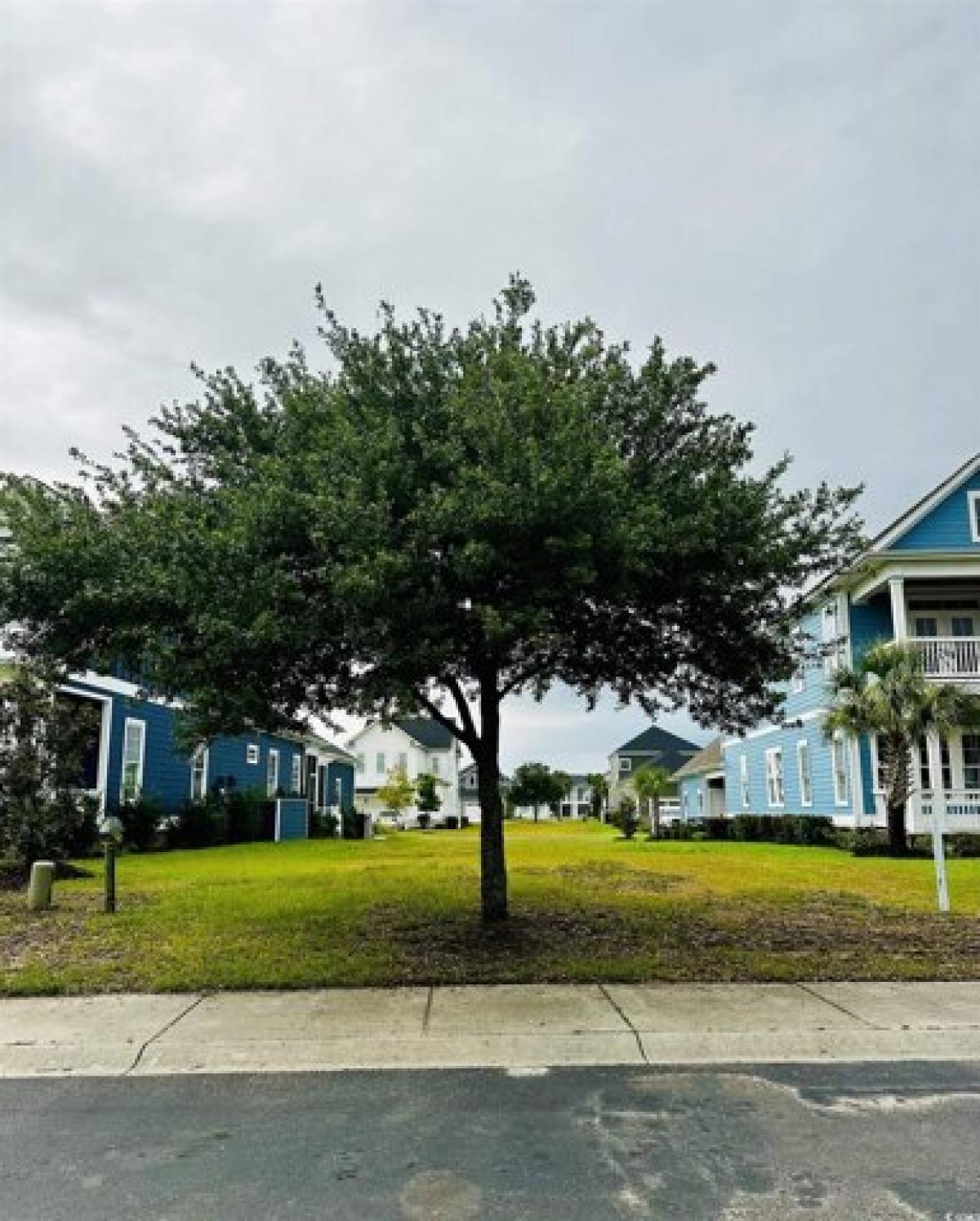 Picture of Residential Land For Sale in Myrtle Beach, South Carolina, United States