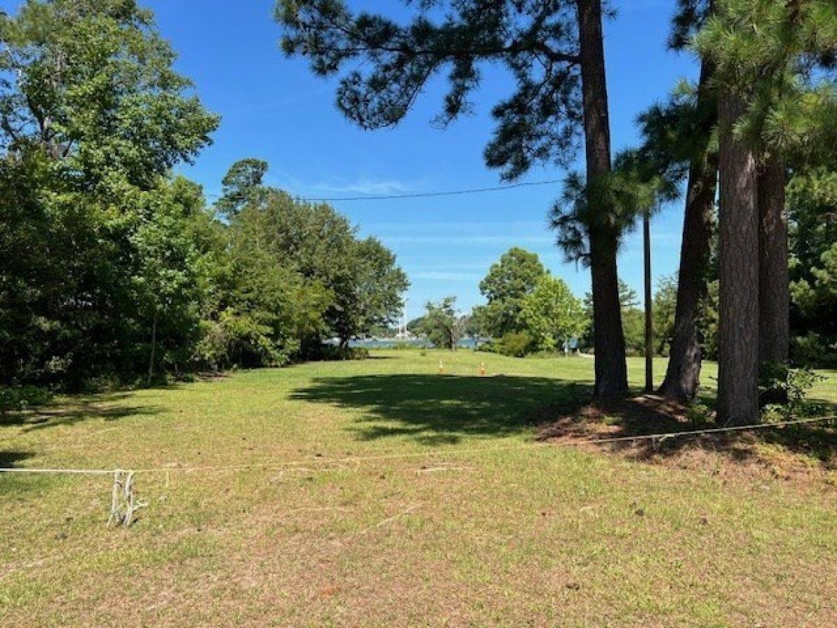 Picture of Residential Land For Sale in Manning, South Carolina, United States