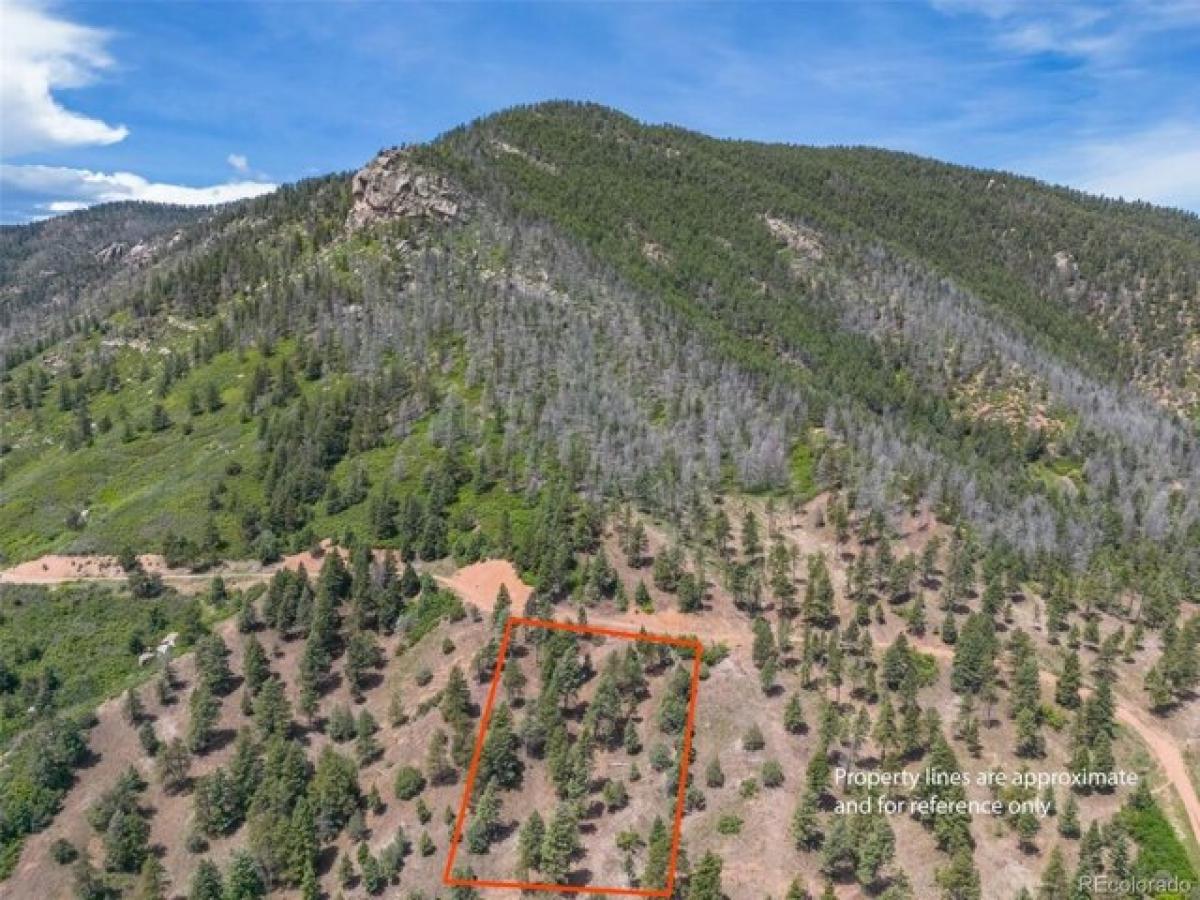 Picture of Residential Land For Sale in Larkspur, Colorado, United States