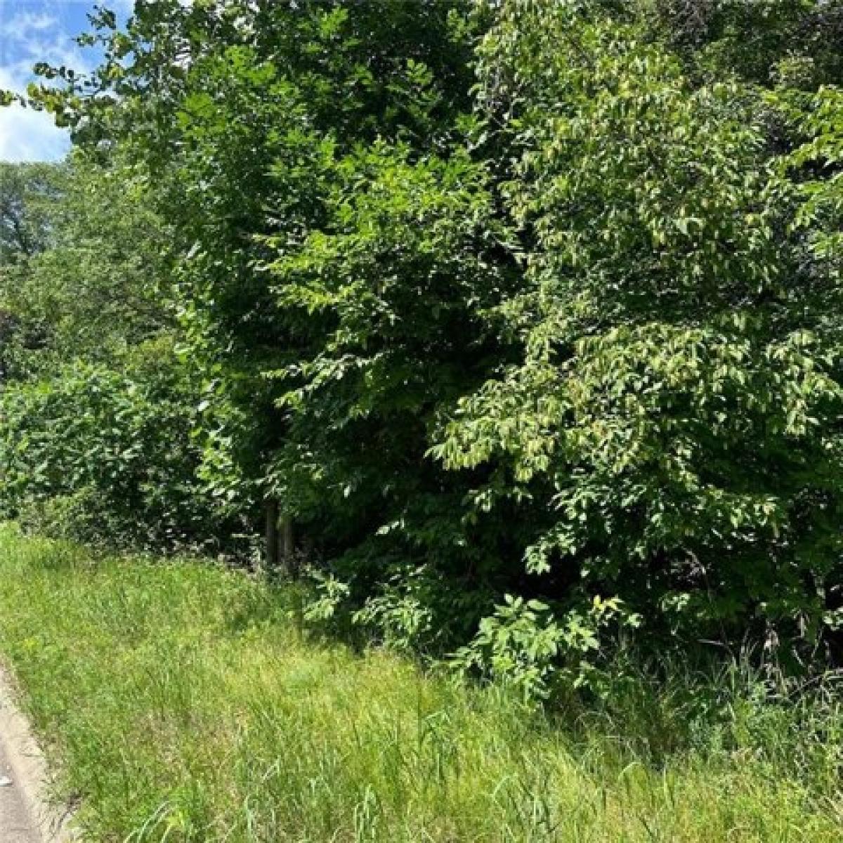 Picture of Residential Land For Sale in Brainerd, Minnesota, United States