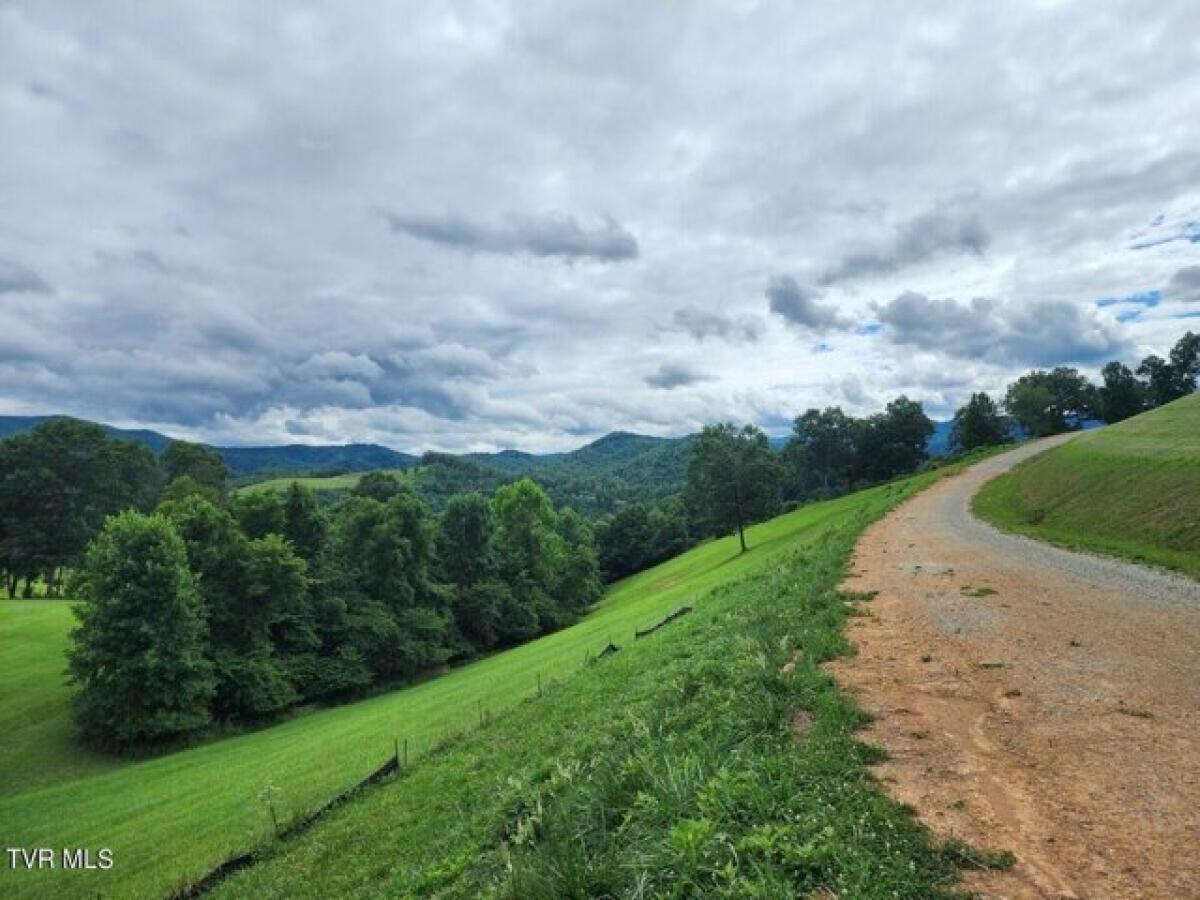 Picture of Residential Land For Sale in Butler, Tennessee, United States