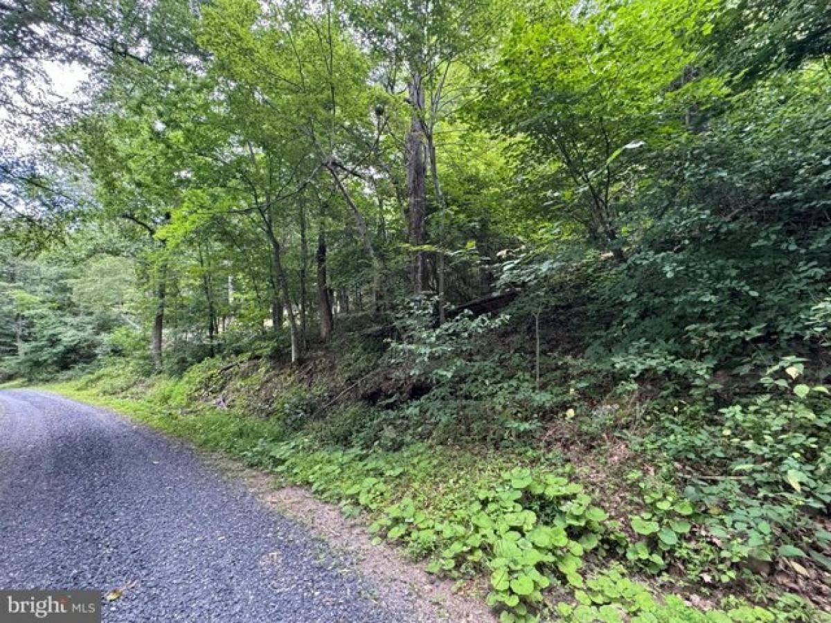 Picture of Residential Land For Sale in Stanley, Virginia, United States