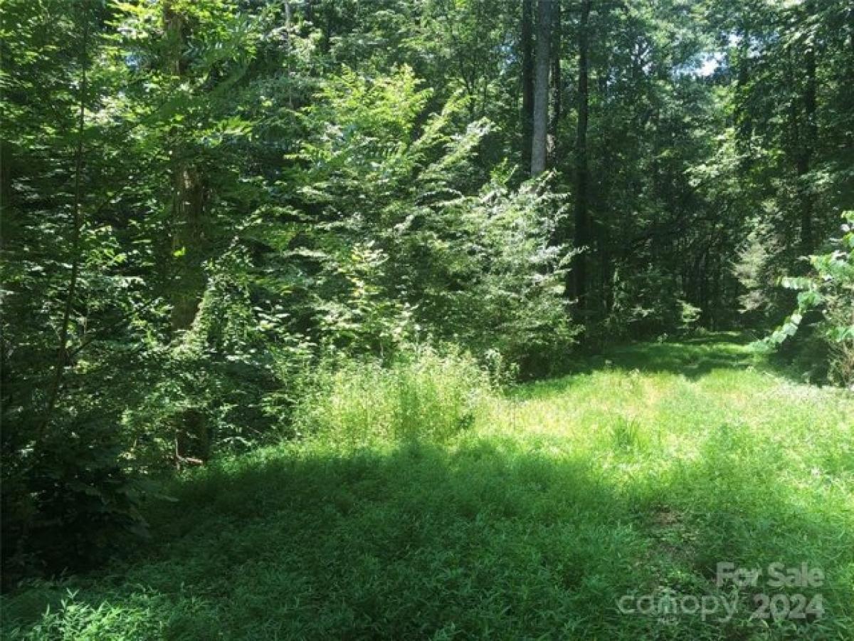 Picture of Residential Land For Sale in Valdese, North Carolina, United States