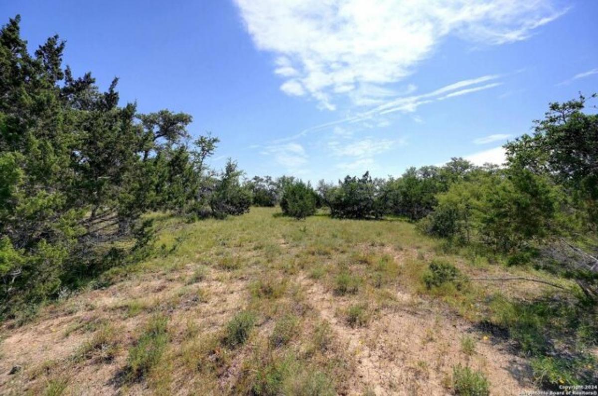 Picture of Residential Land For Sale in Blanco, Texas, United States