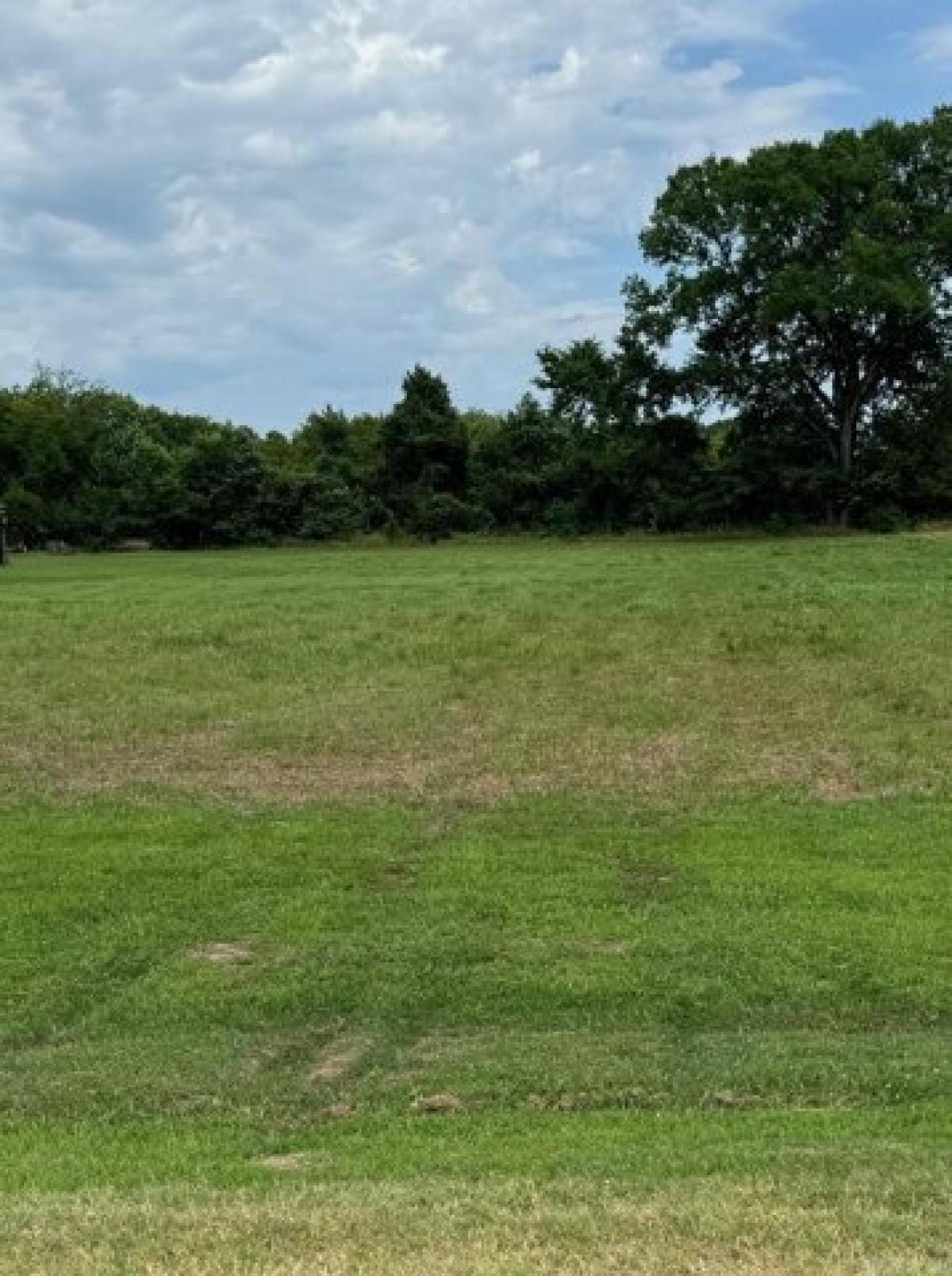 Picture of Residential Land For Sale in Morrilton, Arkansas, United States