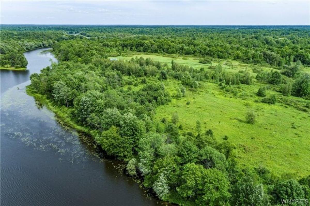 Picture of Residential Land For Sale in Antwerp, New York, United States