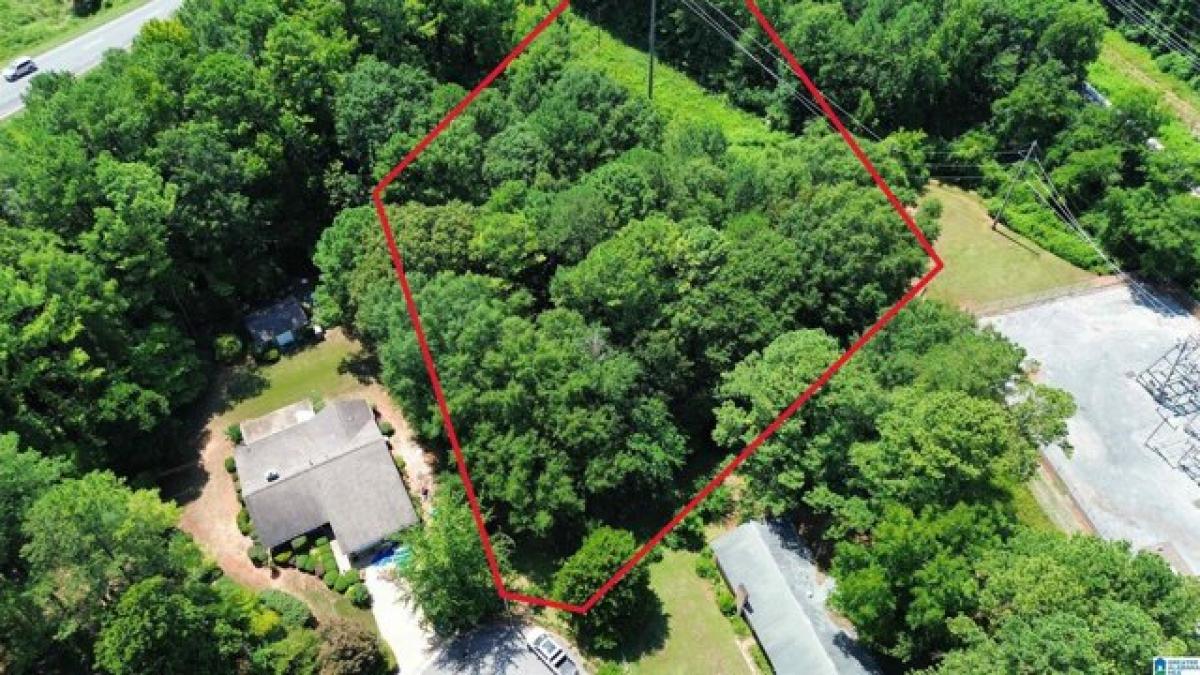 Picture of Residential Land For Sale in Sylacauga, Alabama, United States