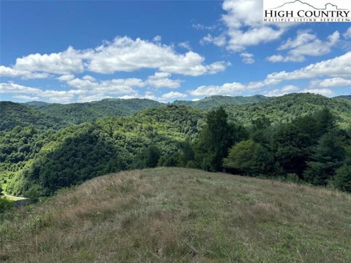 Picture of Residential Land For Sale in Lansing, North Carolina, United States