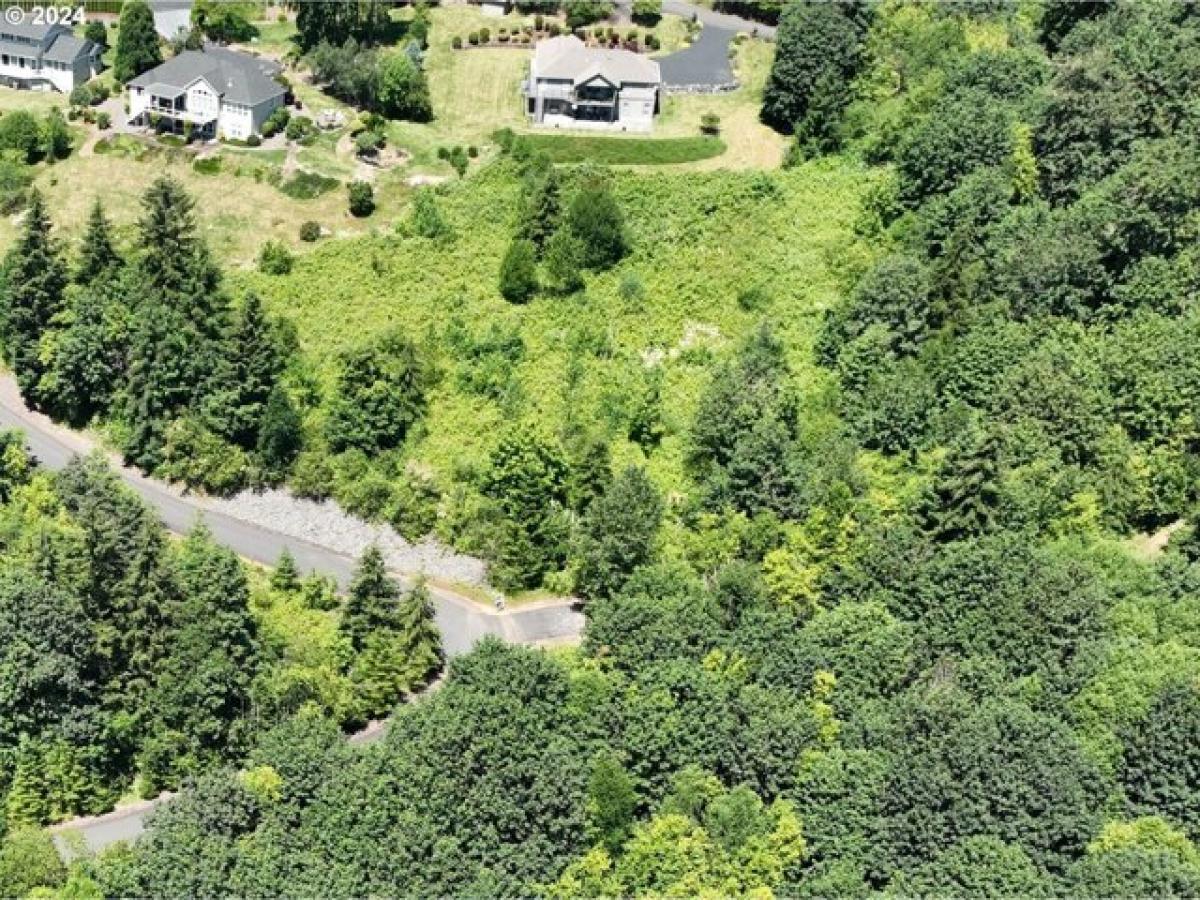 Picture of Residential Land For Sale in Woodland, Washington, United States