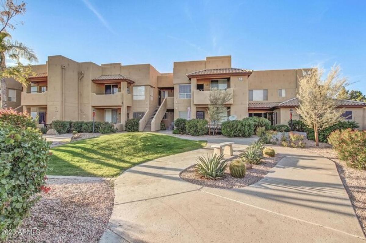 Picture of Apartment For Rent in Chandler, Arizona, United States