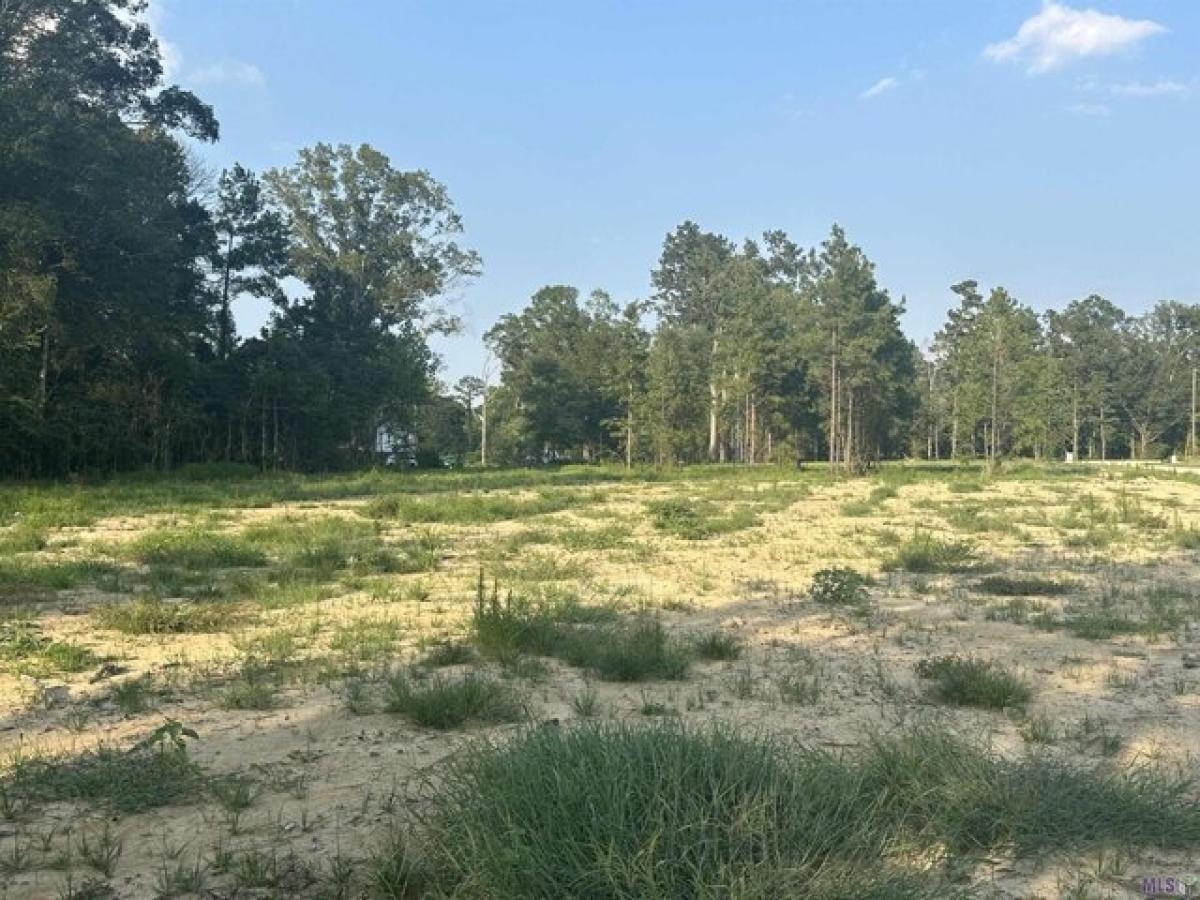 Picture of Residential Land For Sale in Livingston, Louisiana, United States