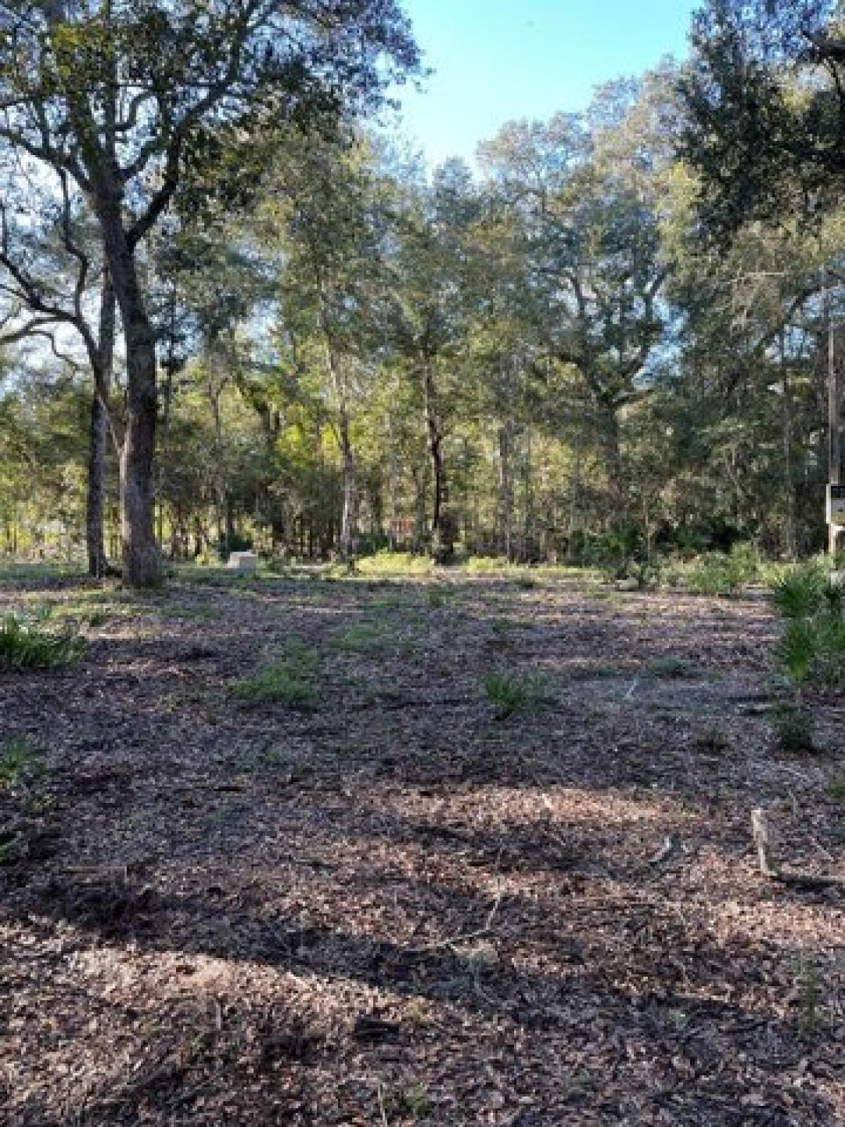 Picture of Residential Land For Sale in Bell, Florida, United States