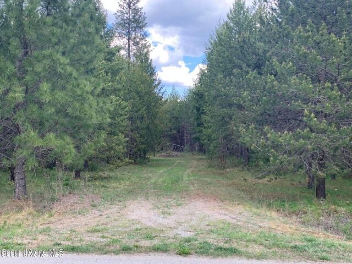 Picture of Residential Land For Sale in Spirit Lake, Idaho, United States