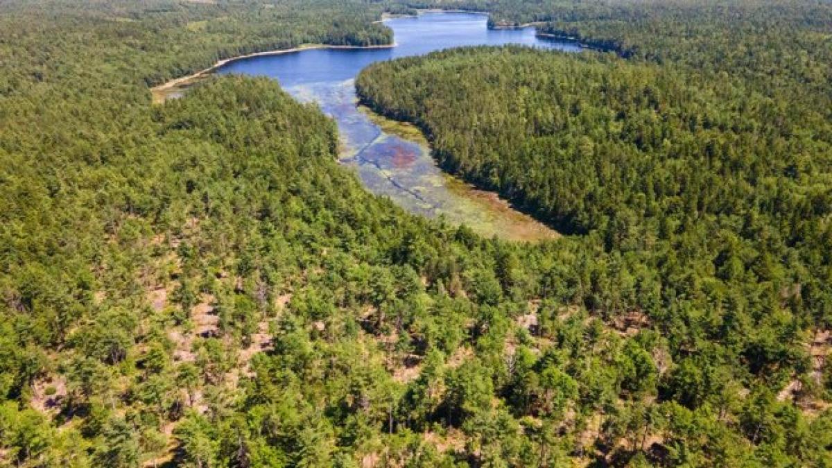 Picture of Residential Land For Sale in Marshfield, Maine, United States