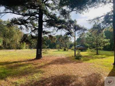 Residential Land For Sale in Bloomburg, Texas