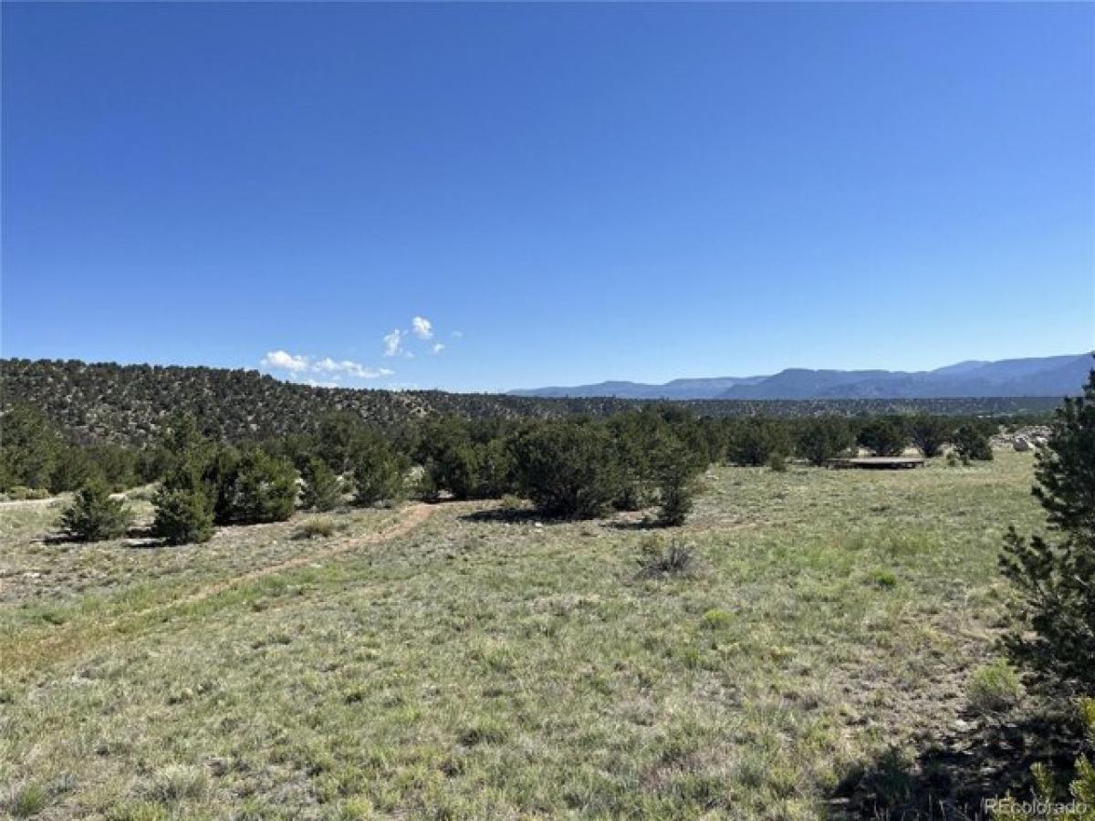 Picture of Residential Land For Sale in Nathrop, Colorado, United States