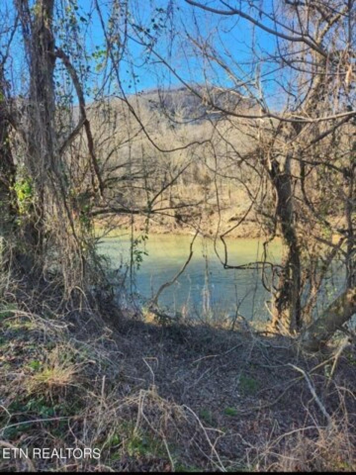 Picture of Residential Land For Sale in Jellico, Tennessee, United States