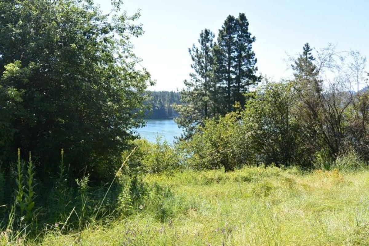 Picture of Residential Land For Sale in Kettle Falls, Washington, United States