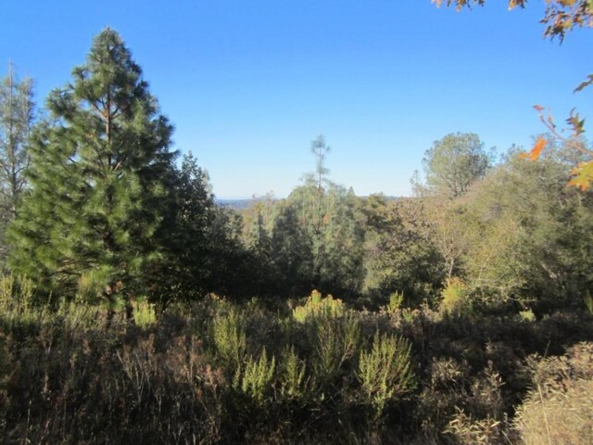 Picture of Residential Land For Sale in Placerville, California, United States