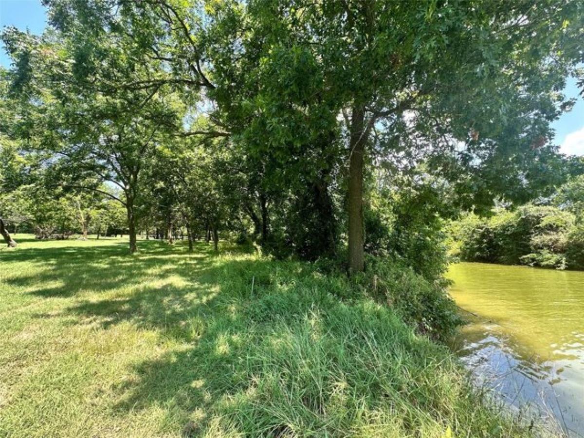 Picture of Residential Land For Sale in Kerens, Texas, United States