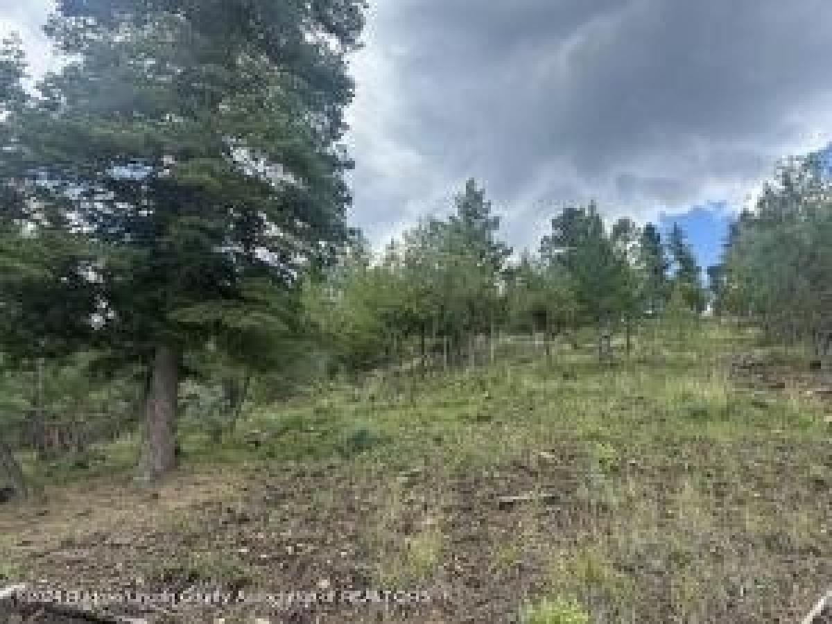 Picture of Residential Land For Sale in Ruidoso, New Mexico, United States