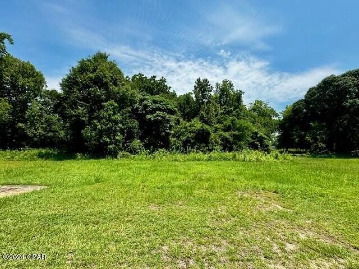 Picture of Residential Land For Sale in Graceville, Florida, United States