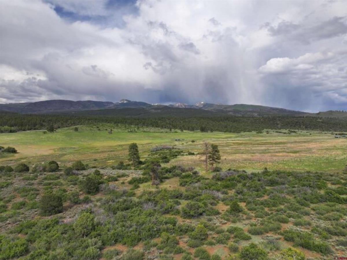 Picture of Residential Land For Sale in Mancos, Colorado, United States