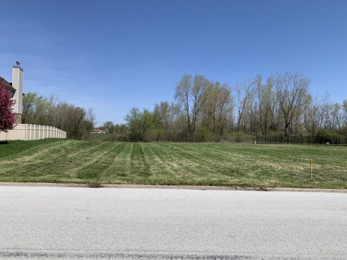 Picture of Residential Land For Sale in Lynwood, Illinois, United States