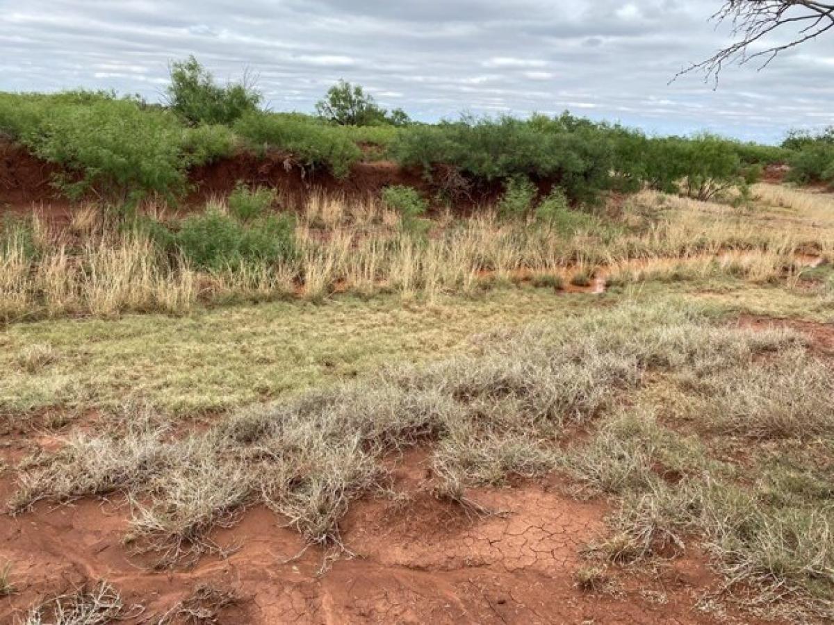 Picture of Residential Land For Sale in Westbrook, Texas, United States